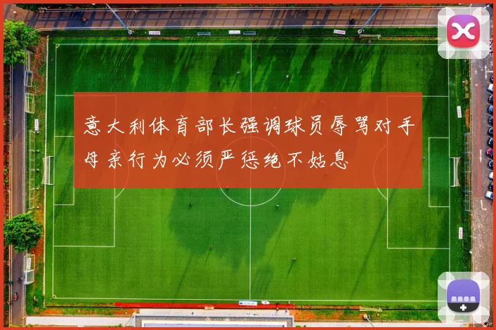 意大利体育部长强调球员辱骂对手母亲行为必须严惩绝不姑息