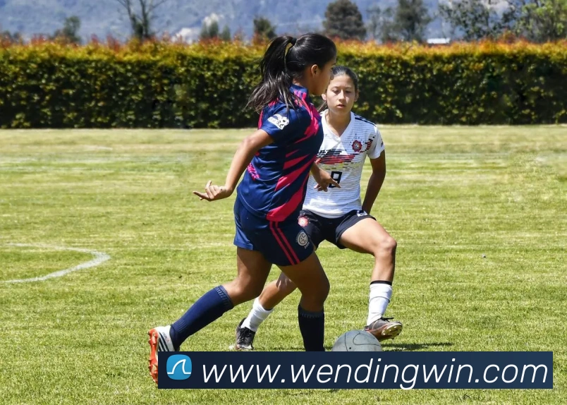 问鼎娱乐服务体系